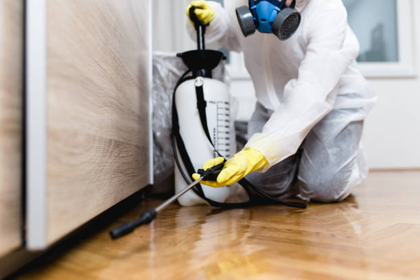 Best Bed Bug Extermination  in New Market, MD