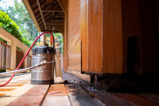 Best Affordable Pest Control Services  in New Market, MD