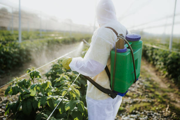 Best Rat Extermination Near Me  in New Market, MD